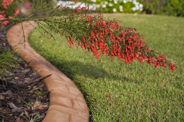 Brick Edging in Crystal Lake