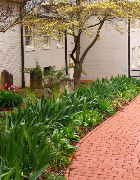 Brick Flatwork Repair in Crystal Lake